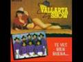 BANDA VALLARTA SHOW---te vez bien buena