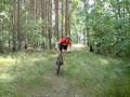 Gary Fisher RIG 29er singlespeed