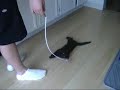 kitty!
