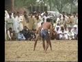 shadiwal 003