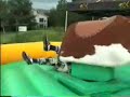 Tre Cool, erm...Riding A Bull.