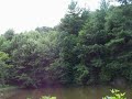 hunter-rides-zipline.html