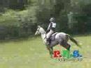 equestrian sports   popcorn