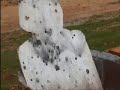 tavor tar 21