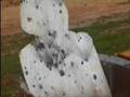 tavor tar 21