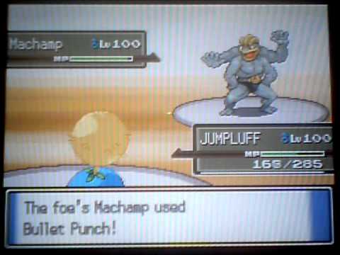 steelix and dophan