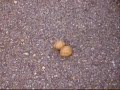 Voll auf die N�sse