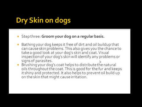 how to cure dogs dry skin