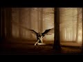 Anima Doloris - Epic Vocal Music (mmf) - (check description!)