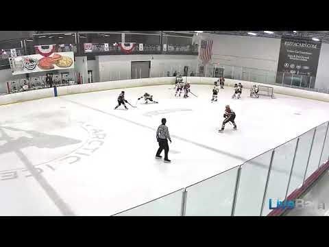 2023 USHL Combine 4 Games .982sv% .4gaa