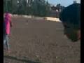 videos de 97ab