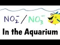 Difference Between Nitrate And Nitrite In Aquarium