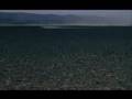 Sarunas Bartas - Freedom (Laisve)
