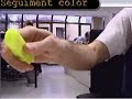 Seguiment Color SonyPTZCam