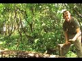 AZ of Bushcraft (A for Axe)