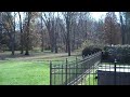 Chris Orser Landscaping; Removal of Your Leaves!