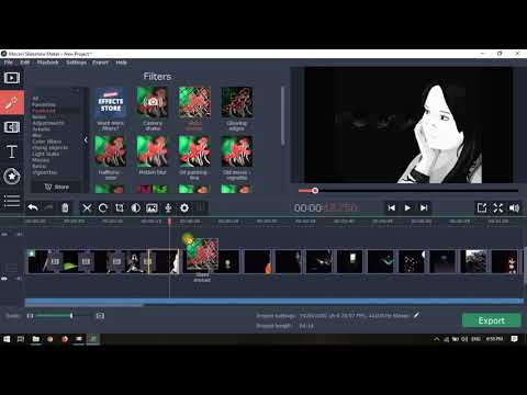 How to use movavi screen recorder