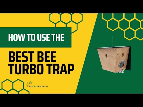 image preview of video showcasing How to Use the Best Bee Turbo Trap