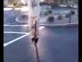skateboarding tricks