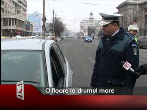O floare la drumul mare