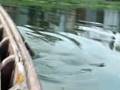 Bangladesh-please-fo