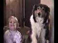 Assistir ao v�deo