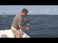 Atlantic Blue Marlins, Wahoos, at Bom Bom Island