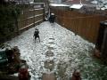 My dog and charlie playing in the snow