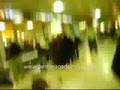 Video de los Perronitos Maite Perroni Madrid