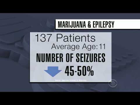 Study: Cannabis extract sucessful in fighting epilepsy