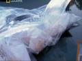 videos de La droga mas peligrosa del mundo - crystal - meth - parte 4 de 6