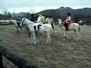 Carnevale a Cavallo al Country Club di Garlenda - Savona.