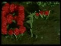 Search Video