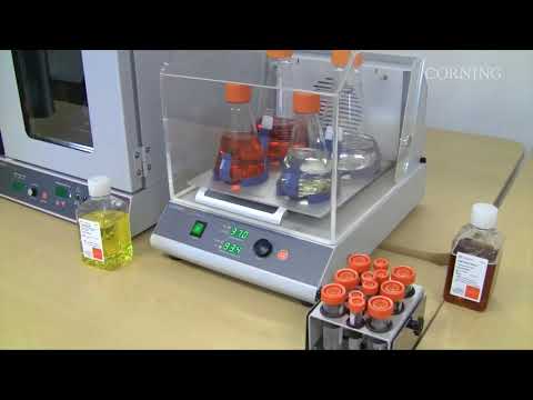 Corning® LSE™ Shaking Incubators 49L, 71L, Benchtop
