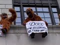 Aping around with Dove and Unilever Aping around with Dove and Unilever