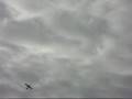 videos de Parkzone Combat P-51 Mustang VS Folke Wulf