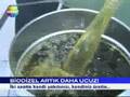 BİYODİZEL HABERLER