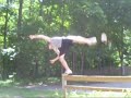 Flying Monkeys: \"Missing A Monkey\"