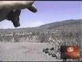 videos de Amzing Bigfoot Story