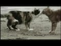 Yair Tripicio - El momento del adi�s