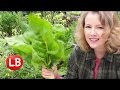 Late Bloomer - Harvesting Winter Garden Vegetables