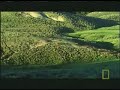 SafariVideos.Net Bear Attack Bison Calf