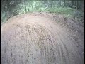 Rocking Body mtb