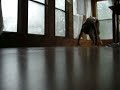 slip en slide[in my house]