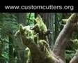 Logging Canadians have their say