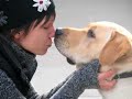 Guiding Eyes For the Blind: Help Raise a Future Guide Dog Guiding Eyes For the Blind: Help Raise a Future Guide Dog