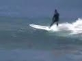 SGSG - Surf in Mini Capo