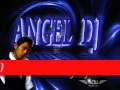 Dj Syner Panamericano & Pitbull