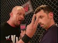 Stone Cold Stunners