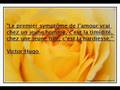 Citations D amour